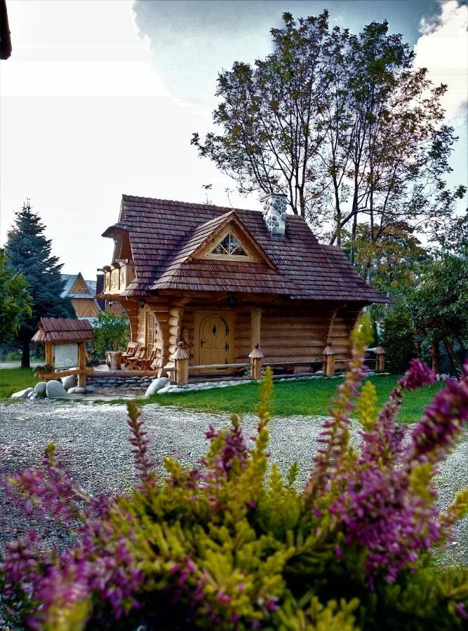 Arcychata Zakopane Zewnętrze zdjęcie